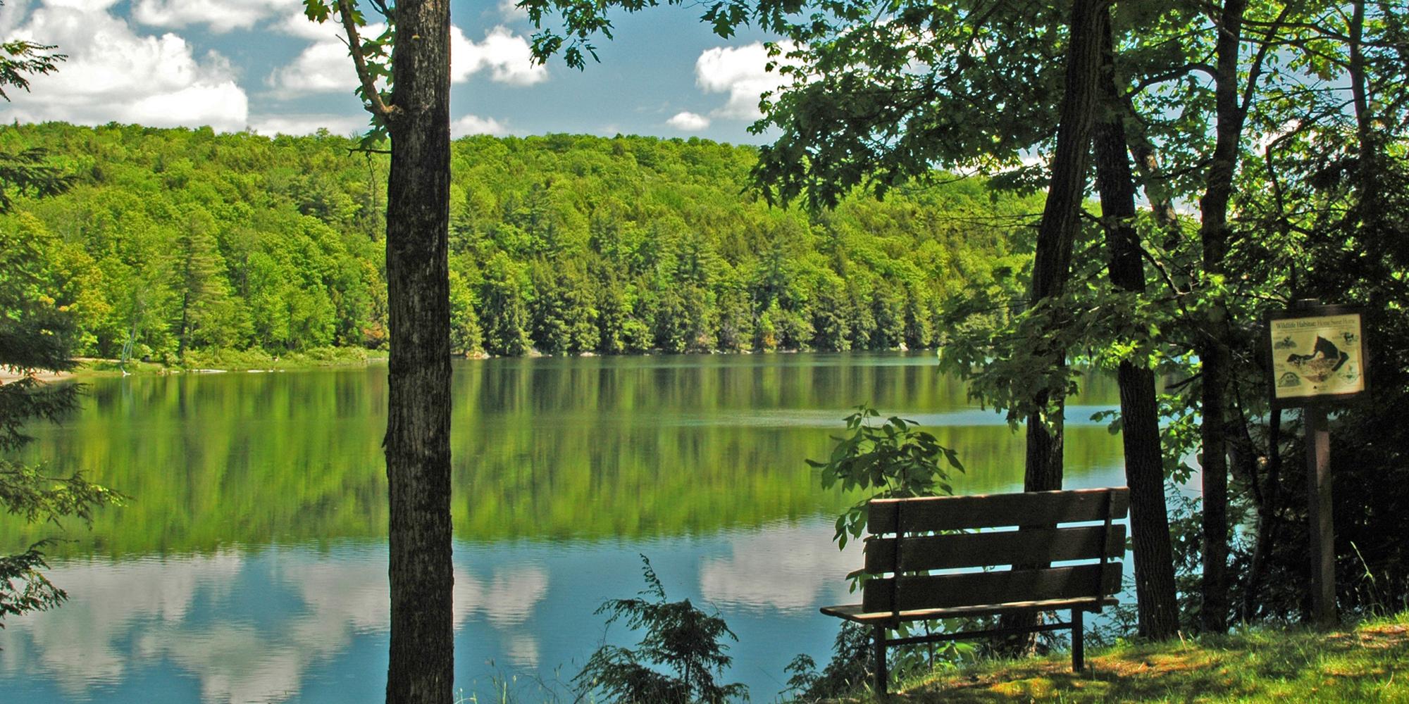 View from the bench of Half Moon Pond State Park