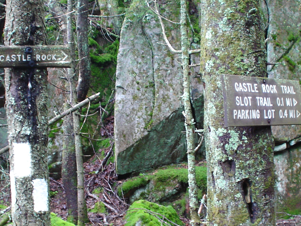 Trail off from Mt Ascutney State Park