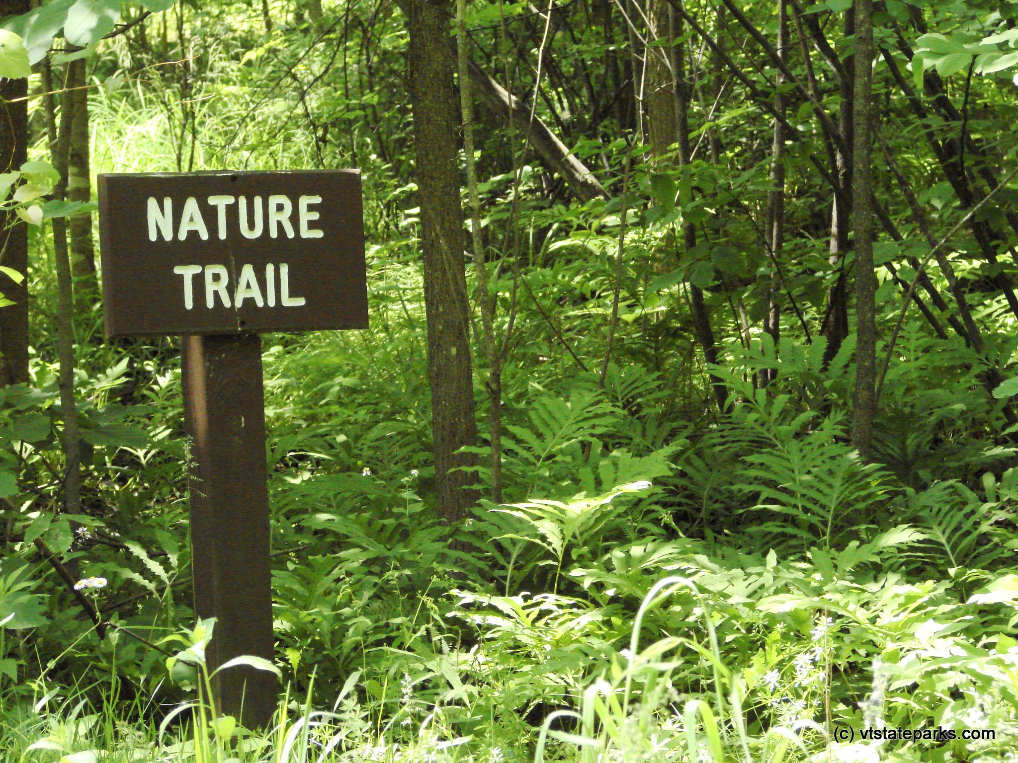 Entrance to nature trail at North Hero State Park by Sara Hayes