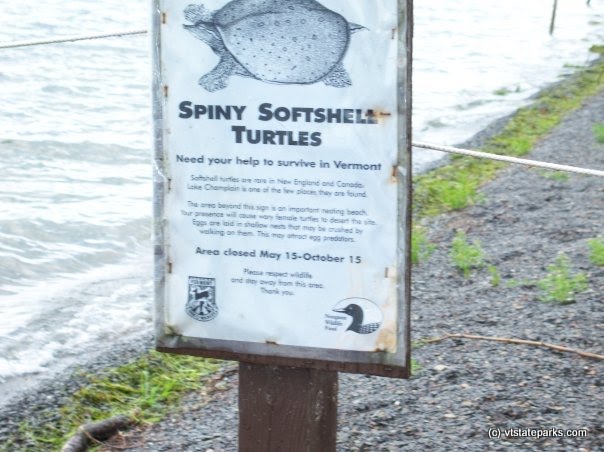 Turtle restricted walking at North Hero State Park