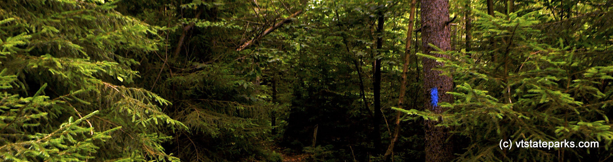 Hiking trail in Allis State Park