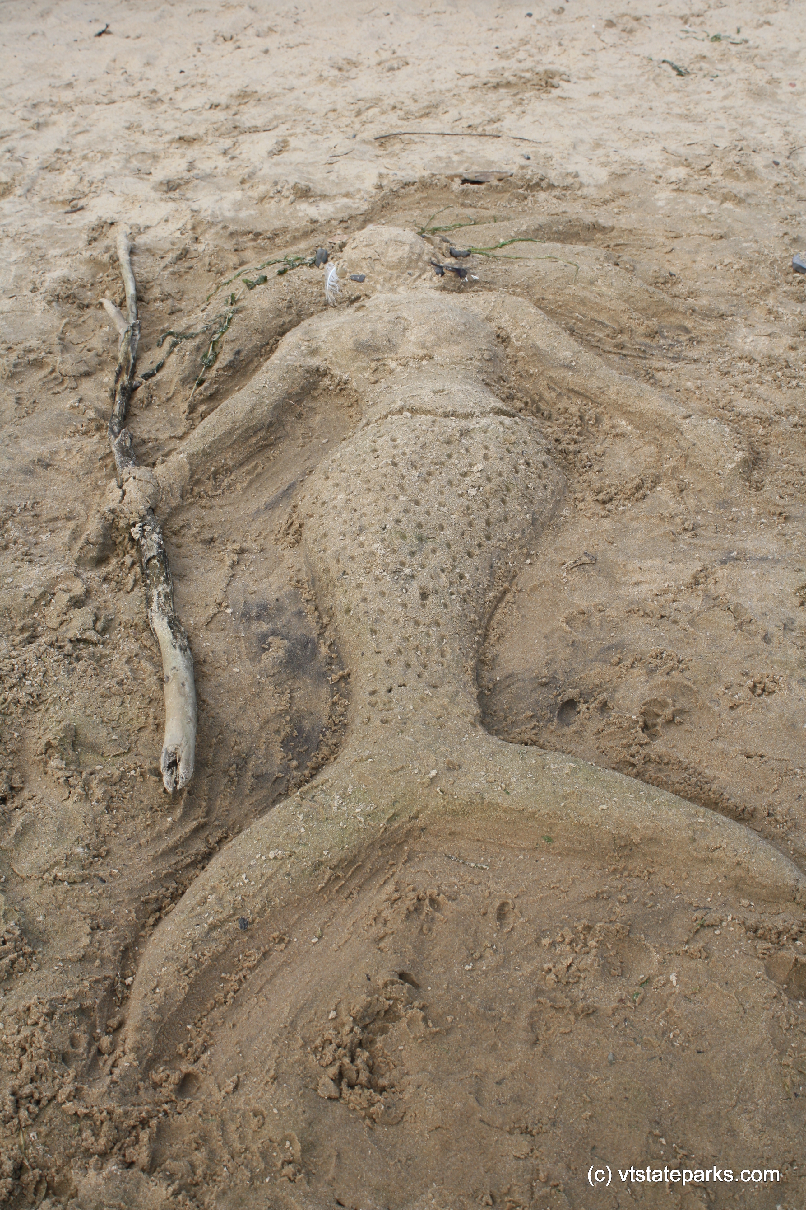 There are mermaids at Alburg Dunes State Park by Karl Hubbard