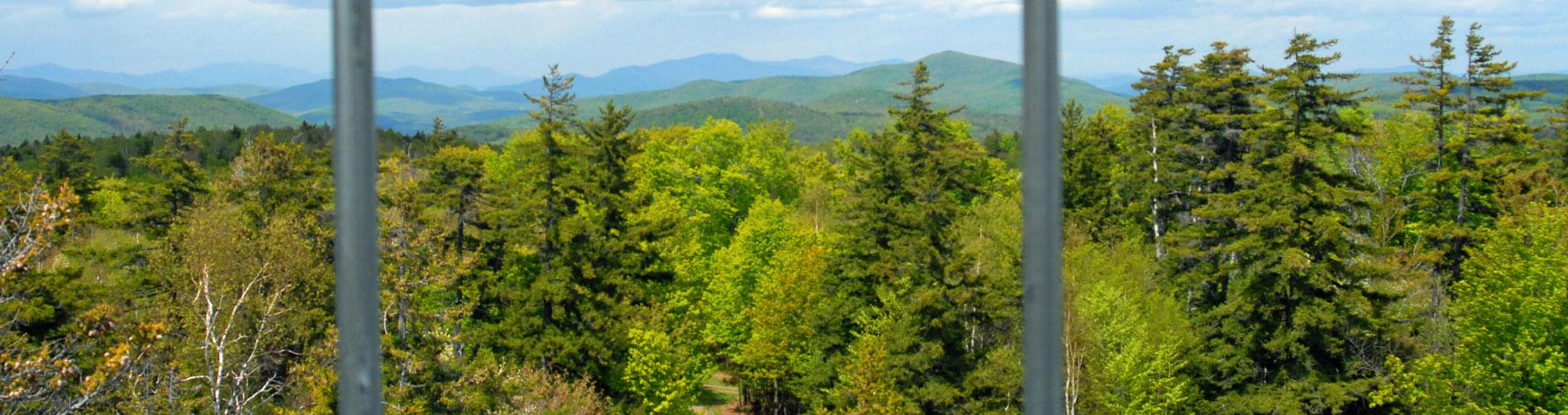 The image showcases a scenic view of a lush green forest with a mix of evergreen and deciduous trees. In the background, rolling hills and distant blue mountains stretch across the horizon beneath a partly cloudy sky. The photo appears to be taken from an elevated position, possibly a fire tower or observation deck, with two vertical metal bars in the foreground slightly obstructing the view. The landscape is vibrant, with fresh green foliage suggesting it was captured during spring or summer.