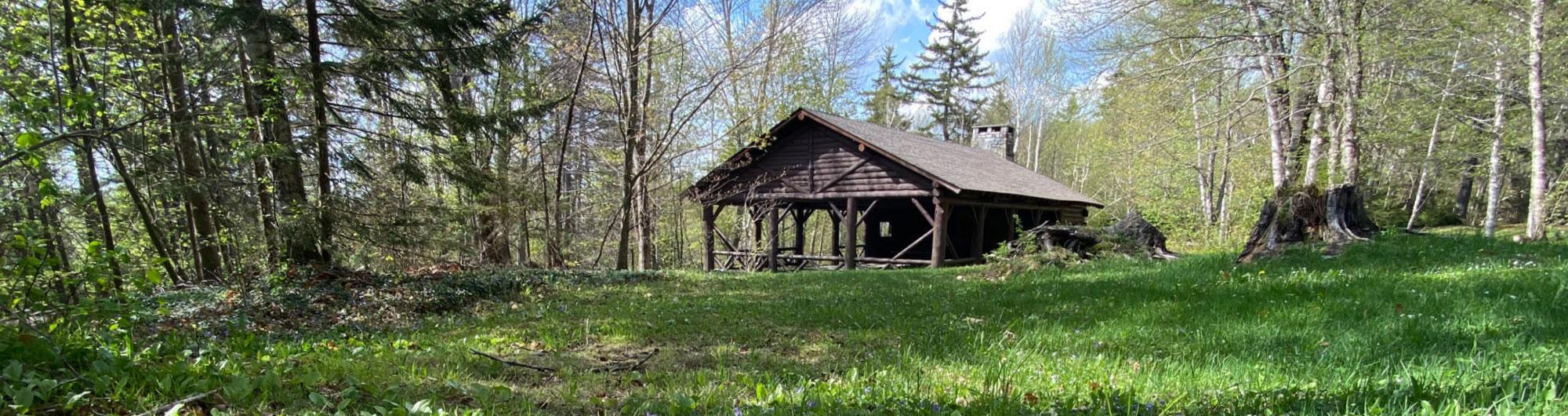 The image shows a rustic, wooden cabin with a slanted roof and open walls, blending into a forested environment. The cabin sits in a lush green meadow, surrounded by tall trees with fresh, green spring leaves. Sunlight filters through the trees, casting dappled light across the grass. To the right of the cabin, there's an old tree stump, adding to the wilderness feel. The scene is serene and secluded, suggesting a peaceful retreat in nature.
