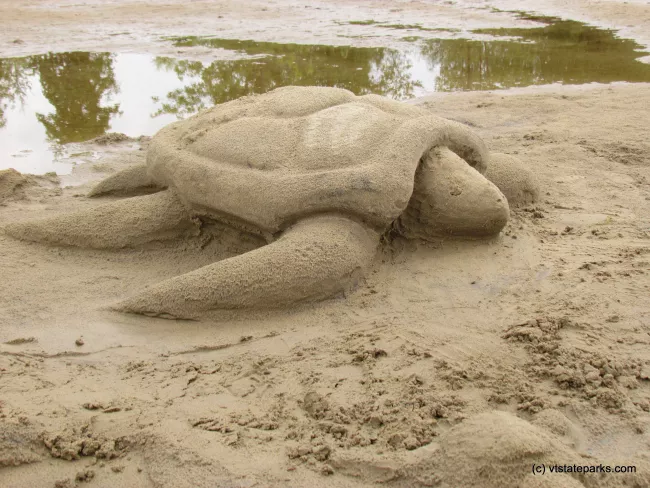 Turtle sand sculpture at Alburg Dunes State Park by Raven Schwan-Noble