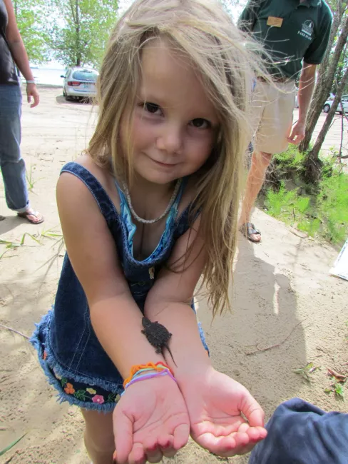 How cute! Girl with baby turtle at Alburg Dunes State Park by Raven Schwan-Noble