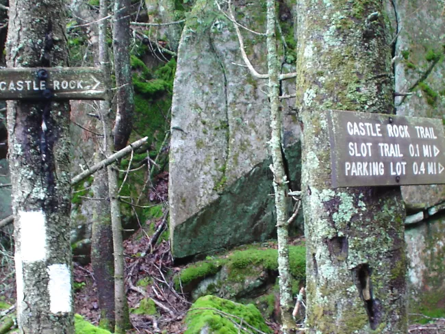Trail off from Mt Ascutney State Park