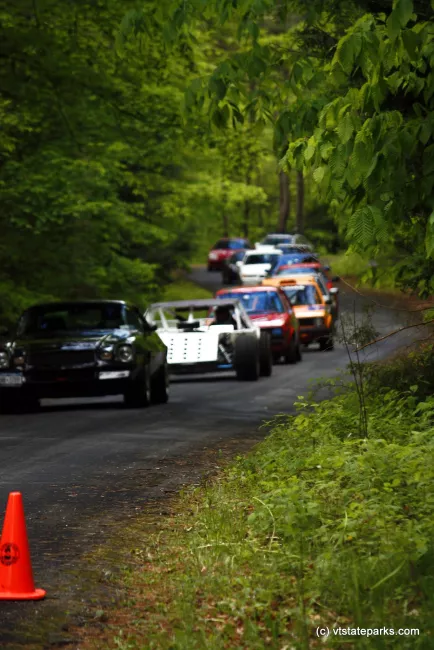 Hill Climb at Mt Ascutney State Park by Shari Mcbride