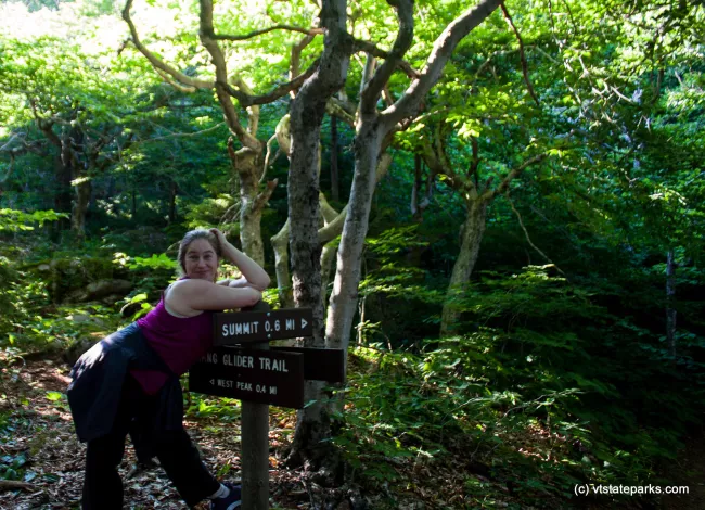 Just deciding which trail to take at Mt Ascutney State Park by Tara Schatz