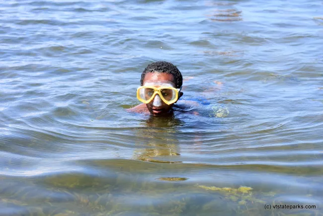 swimm