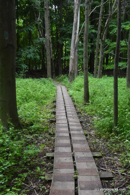 Boardwalk by VYCC on the trail at Knight Point State Park by Raven Schwan-Noble
