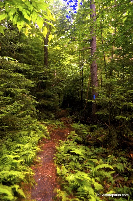Hiking trail in Allis State Park