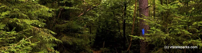 Hiking trail in Allis State Park
