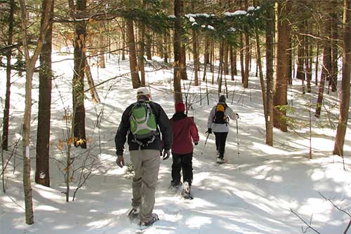 Snowshoeing at Gifford Woods State Park