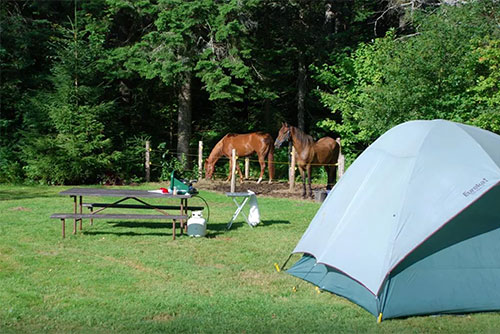 New Discovery if famous for its horse camping