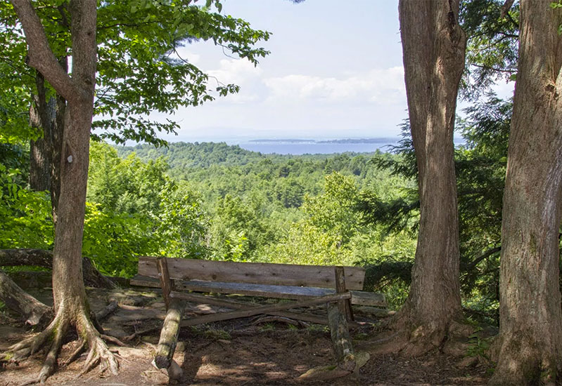 A bench with a great view along the trail