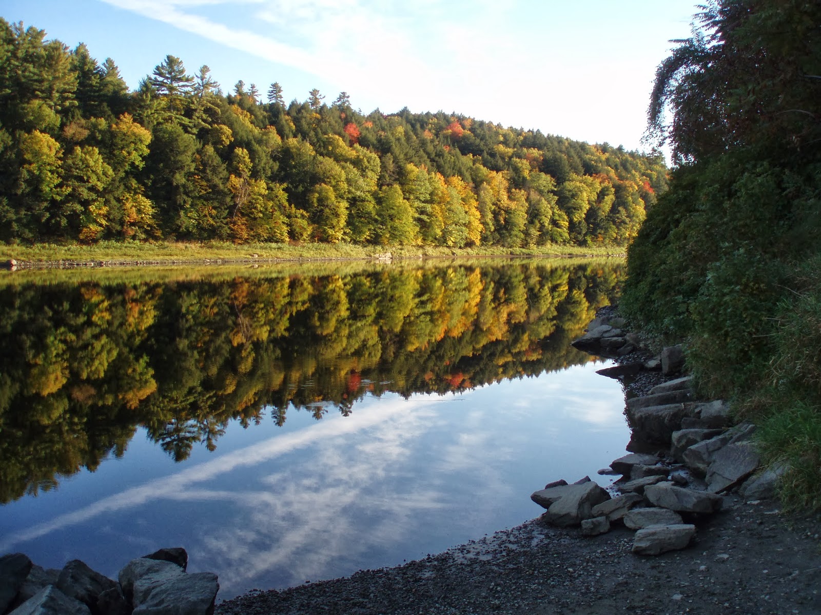 Got my walking stick at Stillwater State Park by Nicole Olmstead