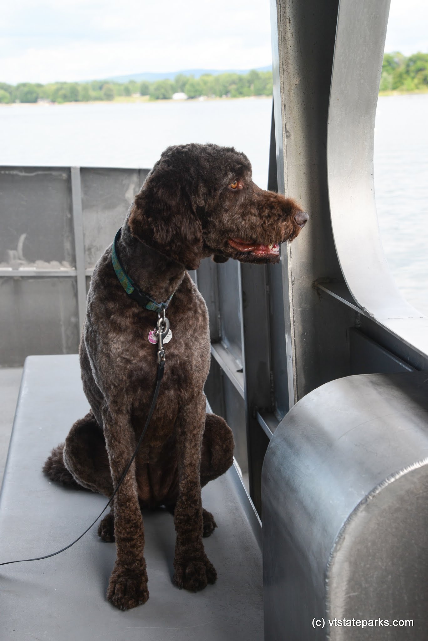 Hey this is a beautiful view out the window of the Island Runner Ferry  at Burton Island State Park by Raven Schwan-Noble