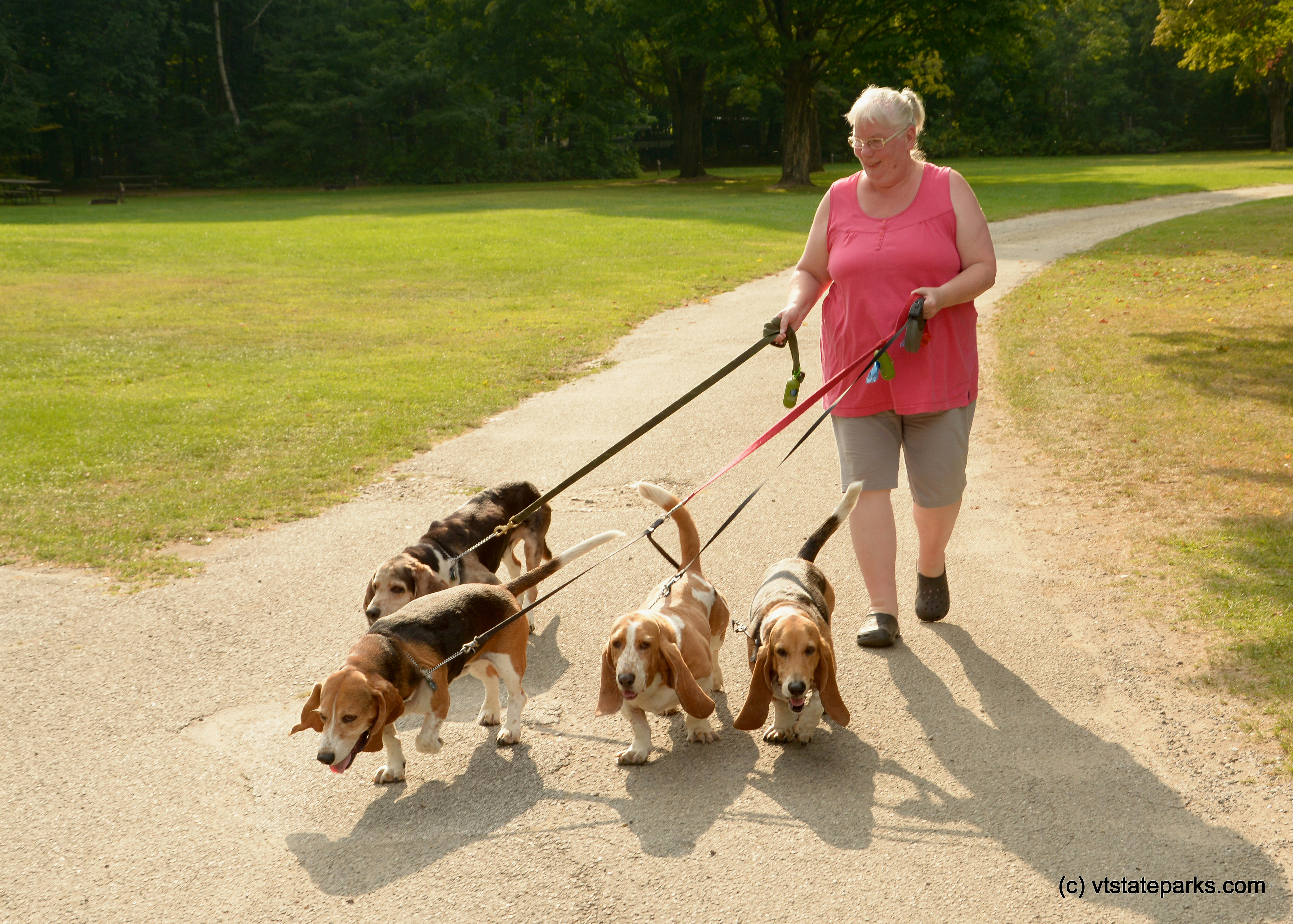 A woman walking her hounds at Branbury State Park by Gary Bouchard
