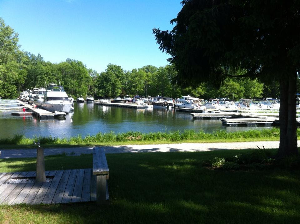 A scenic view of a marina on a sunny day, featuring several boats docked along the piers. The water is calm and reflects the clear blue sky. Lush green trees surround the marina, providing a natural backdrop. In the foreground, there is a grassy area with a wooden bench, partially shaded by a large tree.
