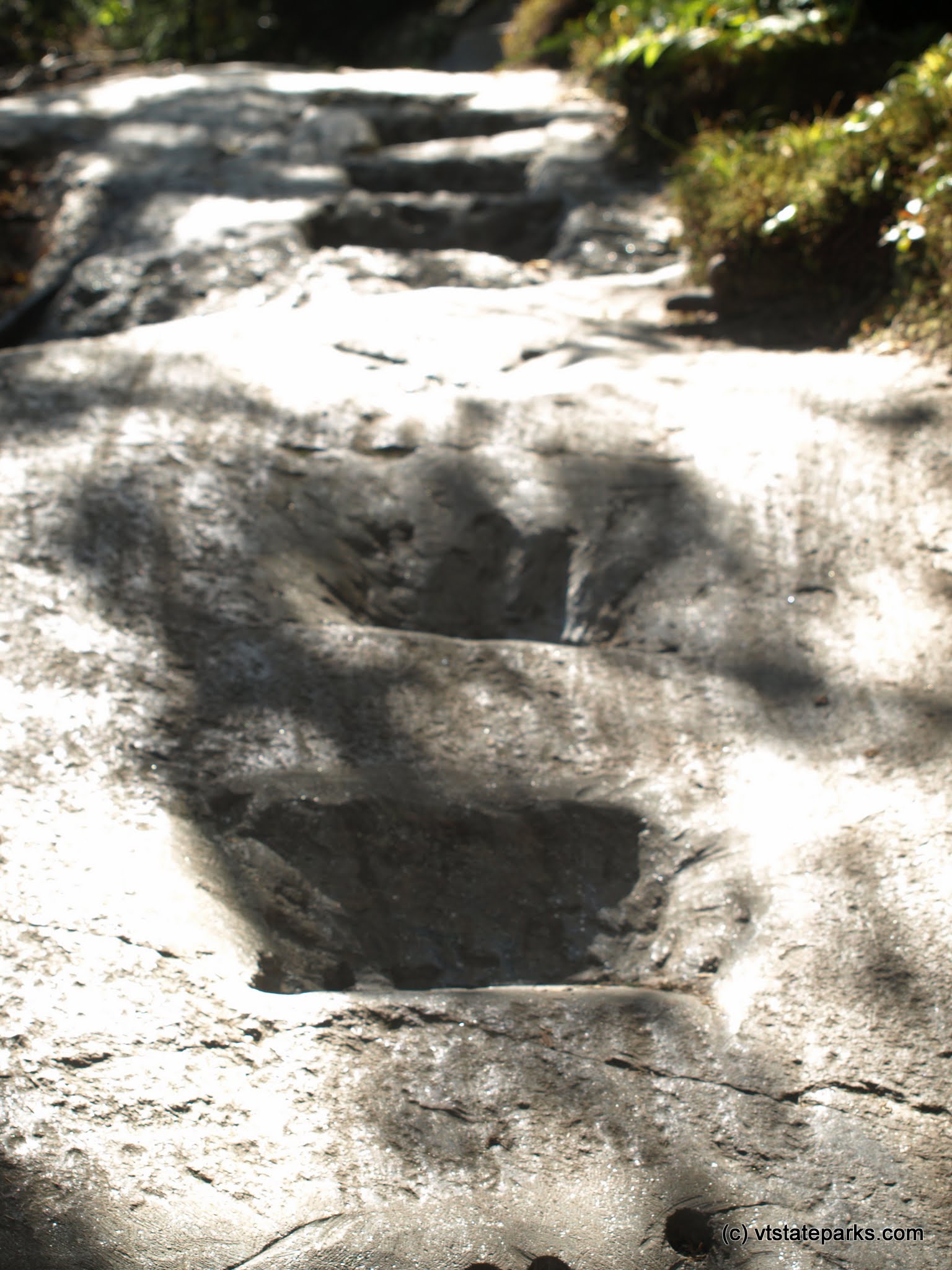 One way to climb at Elmore State Park by Matt Parsons
