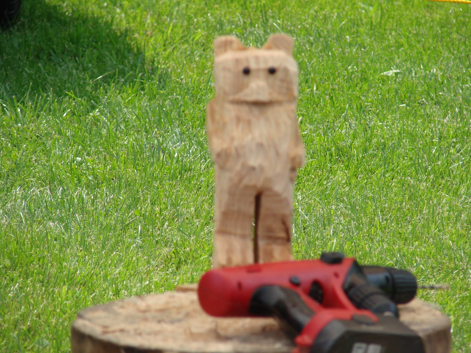 Looking more and more like a bear; Mark LeClair's chainsaw art at Lake Carmi State Park by Sara Hayes