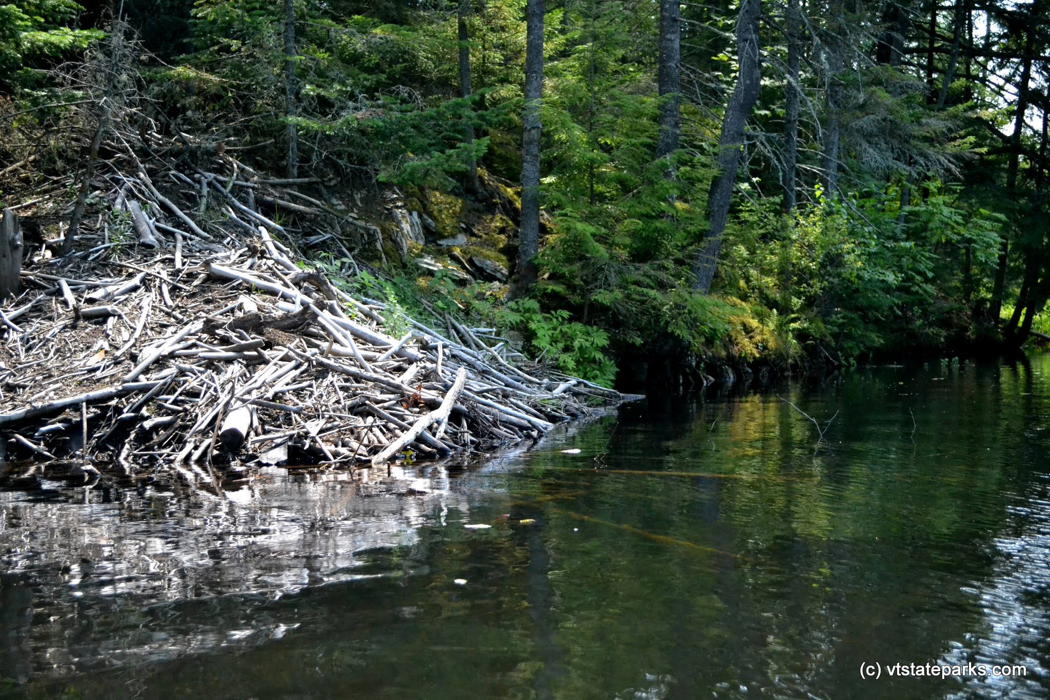 Beaver Lodge at Green River Reservoir State Park by Alexandra Martin