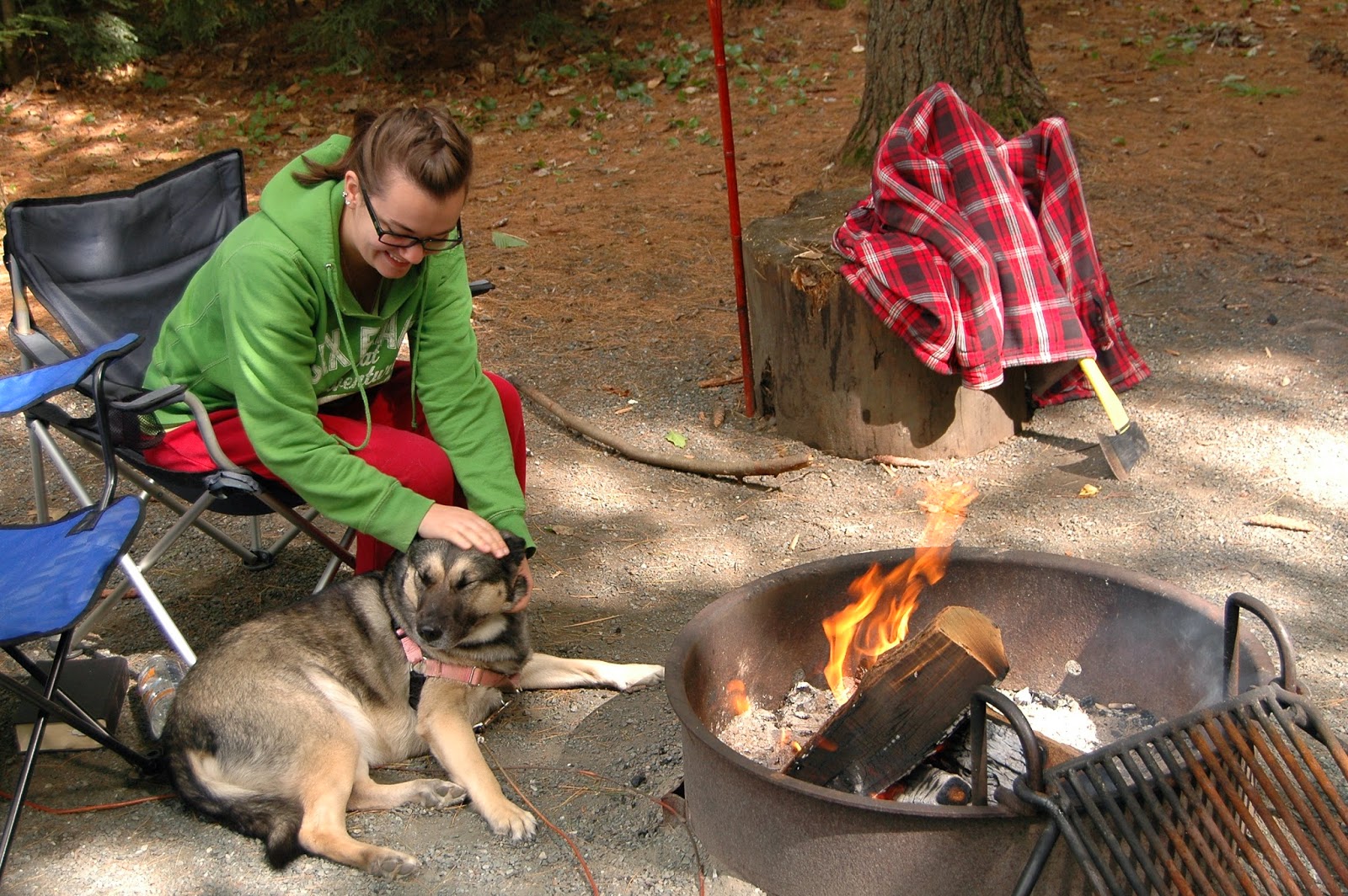Dog by the campfire at Quechee State Park by Renee McWilliams