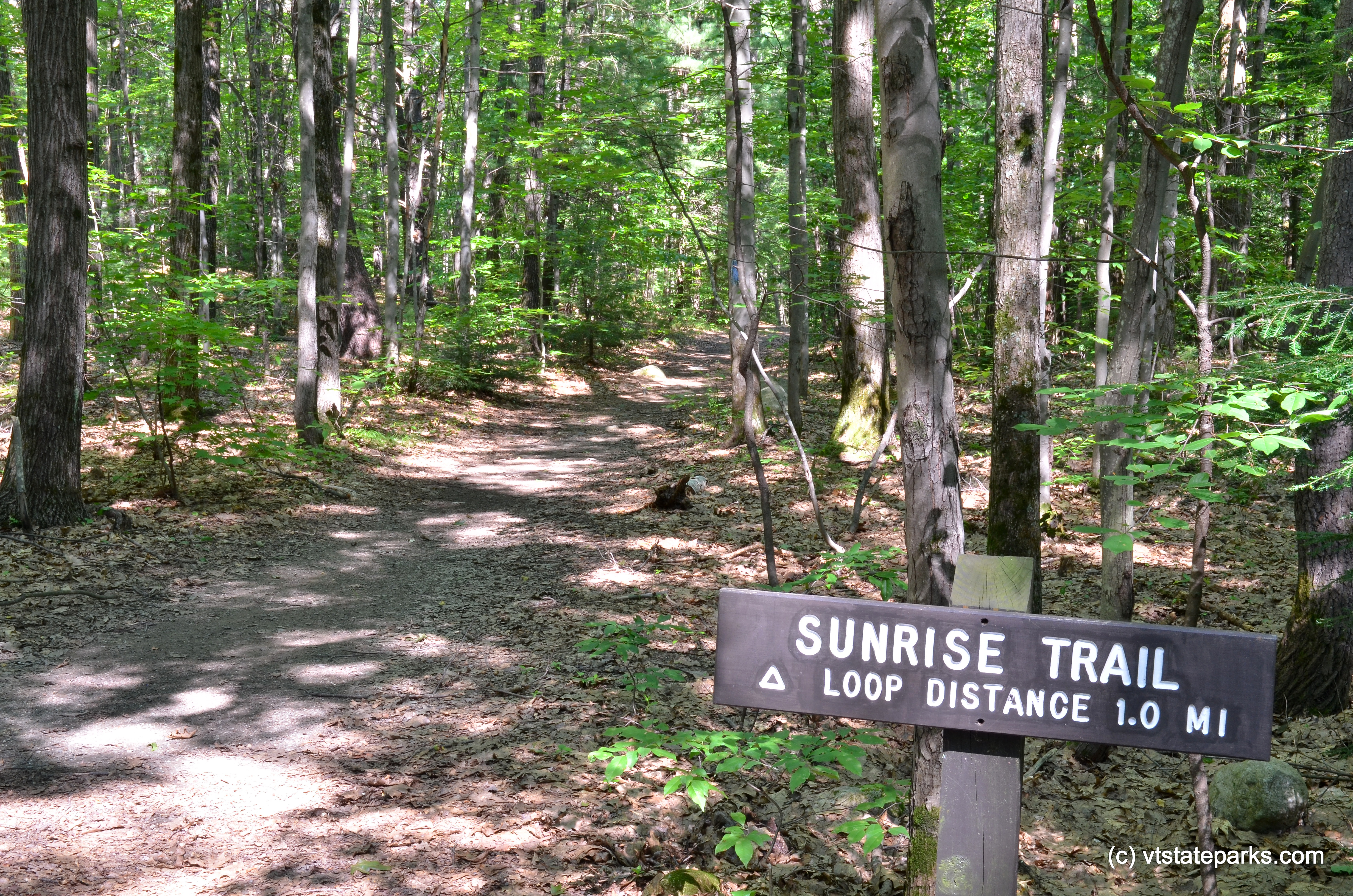 Sunrise trail sign at Fort Dummer State Park