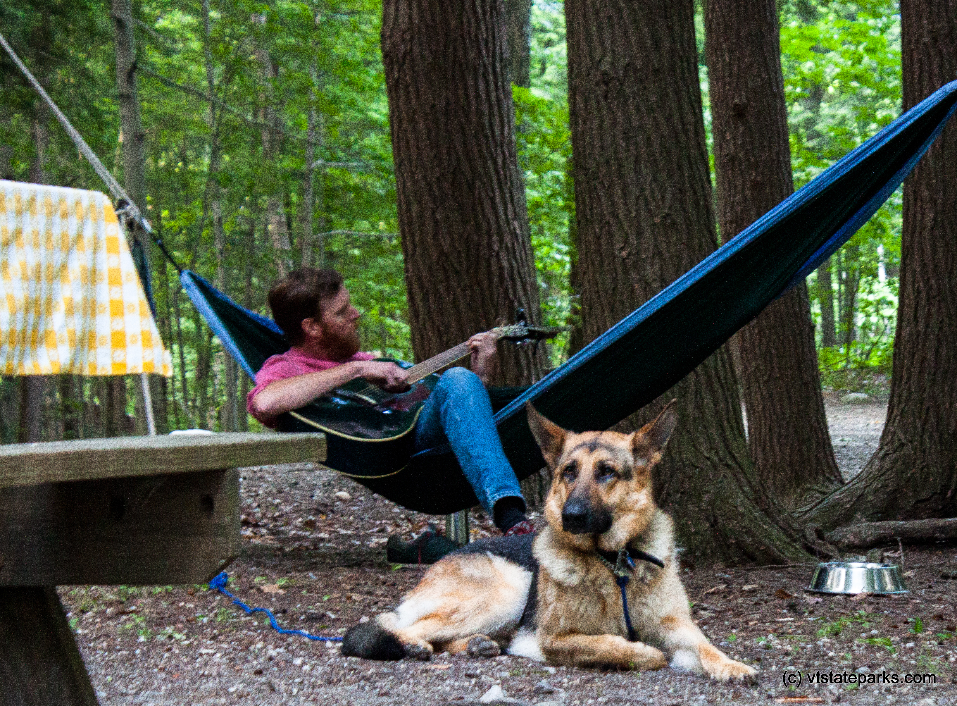 This pup is enjoying music at Emerald Lake State Park by Tara Schatz
