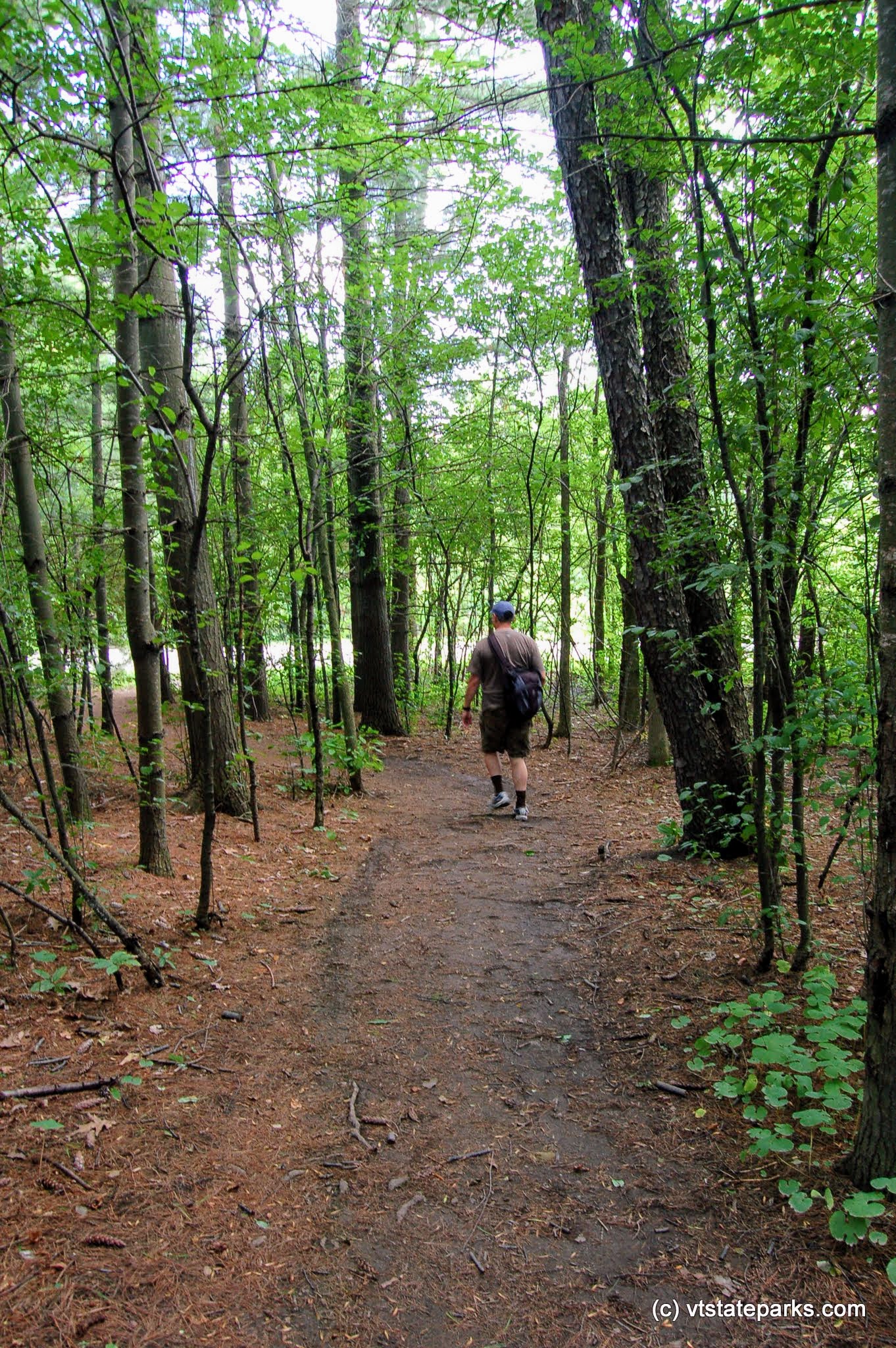 Trail at Grand Isle State Park