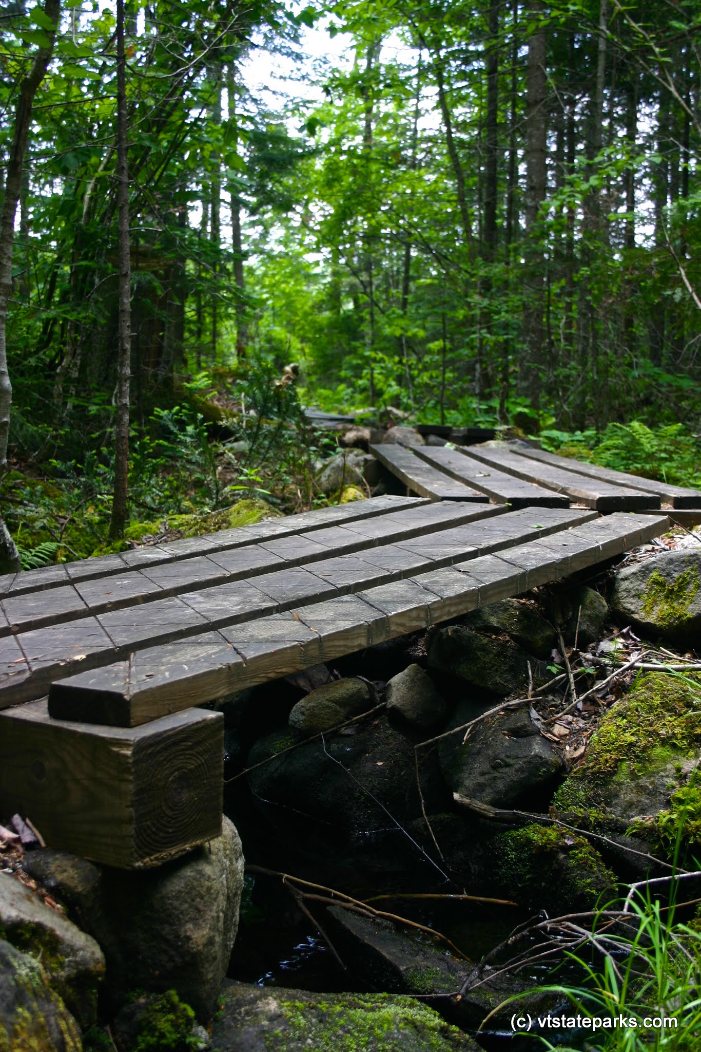 Wooden walk way at Kettle Pond State Park by Wesley Morris