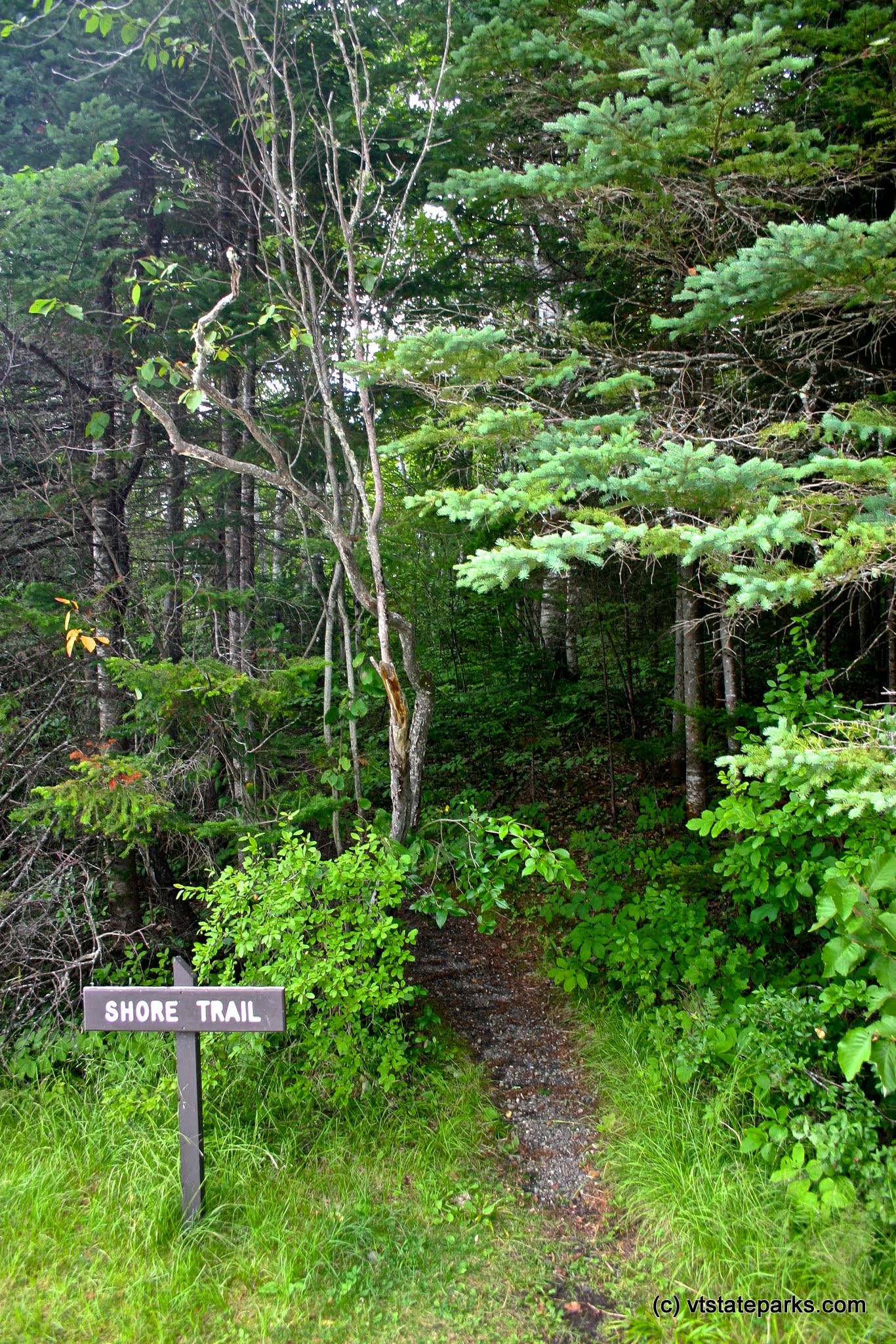 Beautiful scenic Shore Trail located in Brighton State Park by Wesley Morris