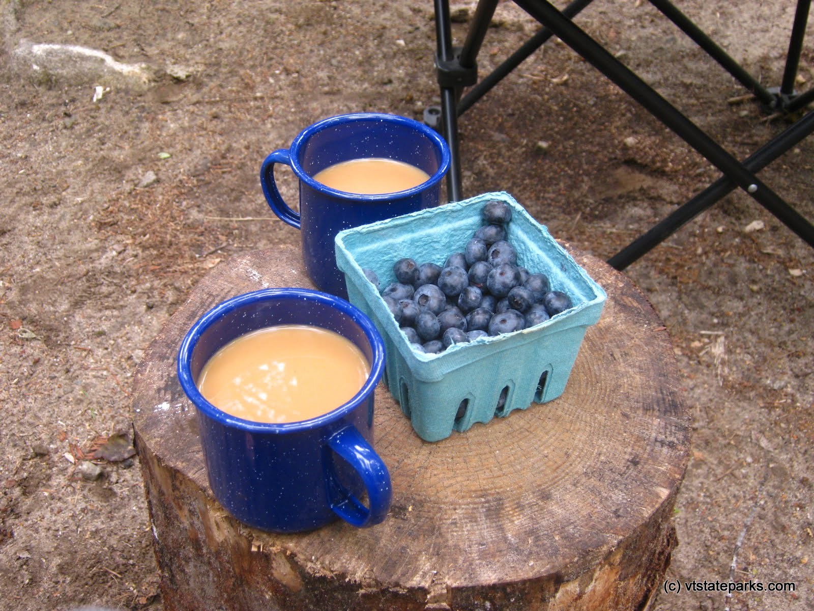 Blueberries and coffee at camp, Big Deer State Park by Matt Parsons