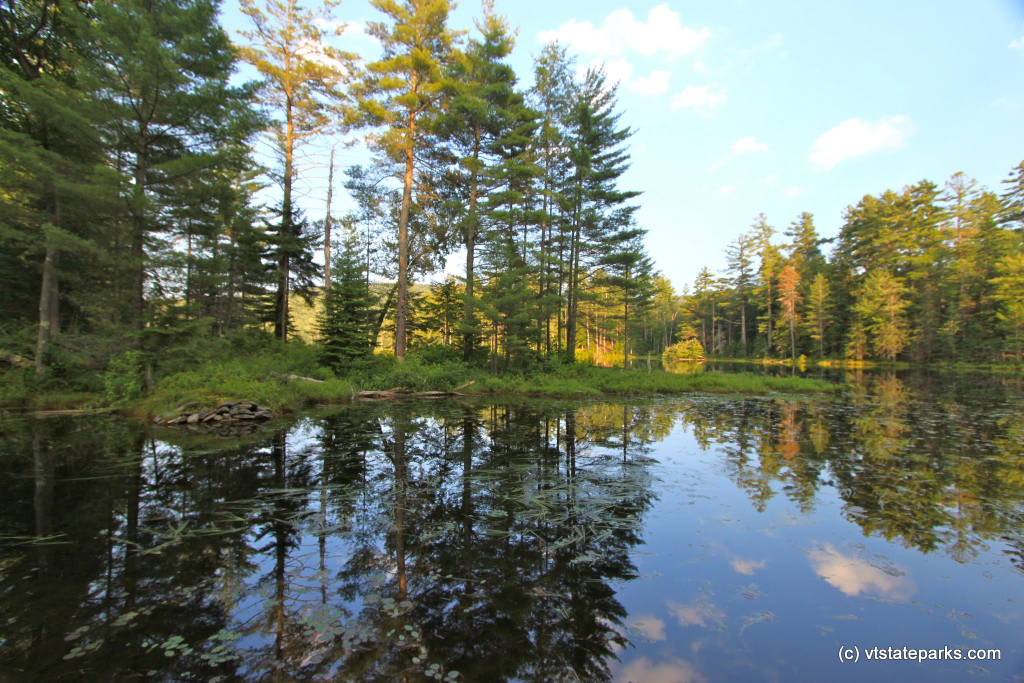 Reflections at Lowell Lake State Park by Lene Gary