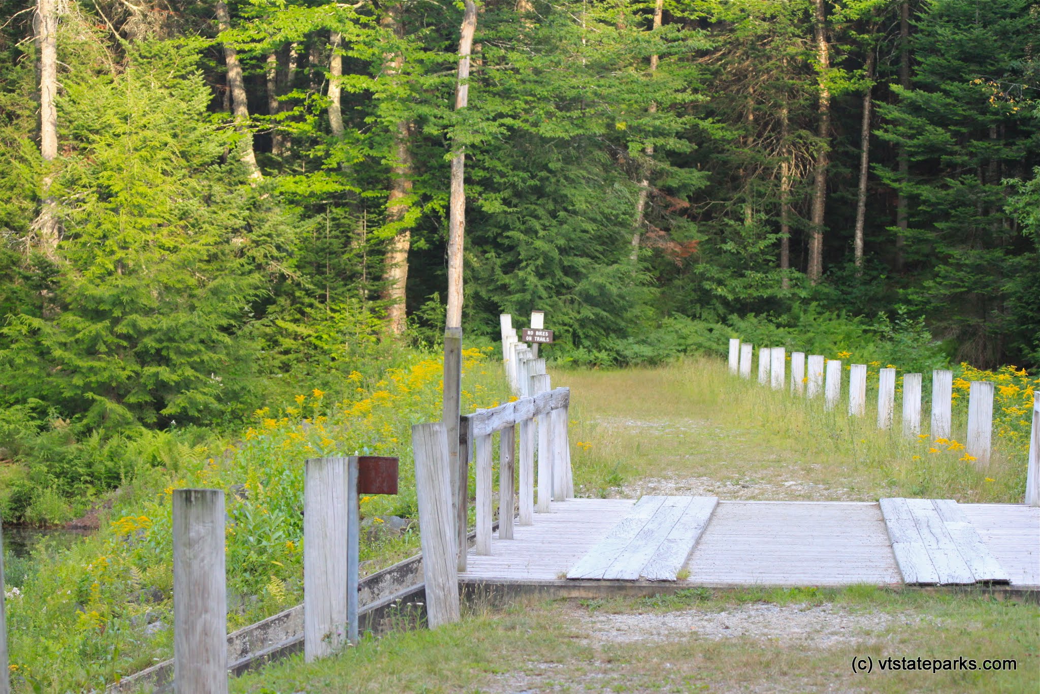 Bridge at Lowell Lake State Park by Lene Gary