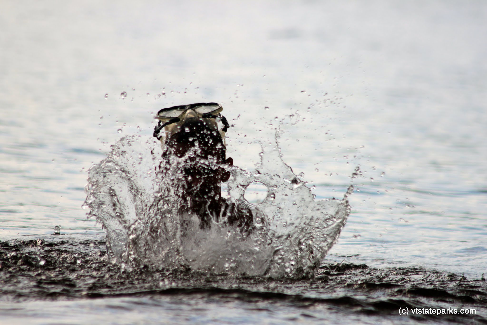Big splash at Boulder Beach State Park by Lene Gary
