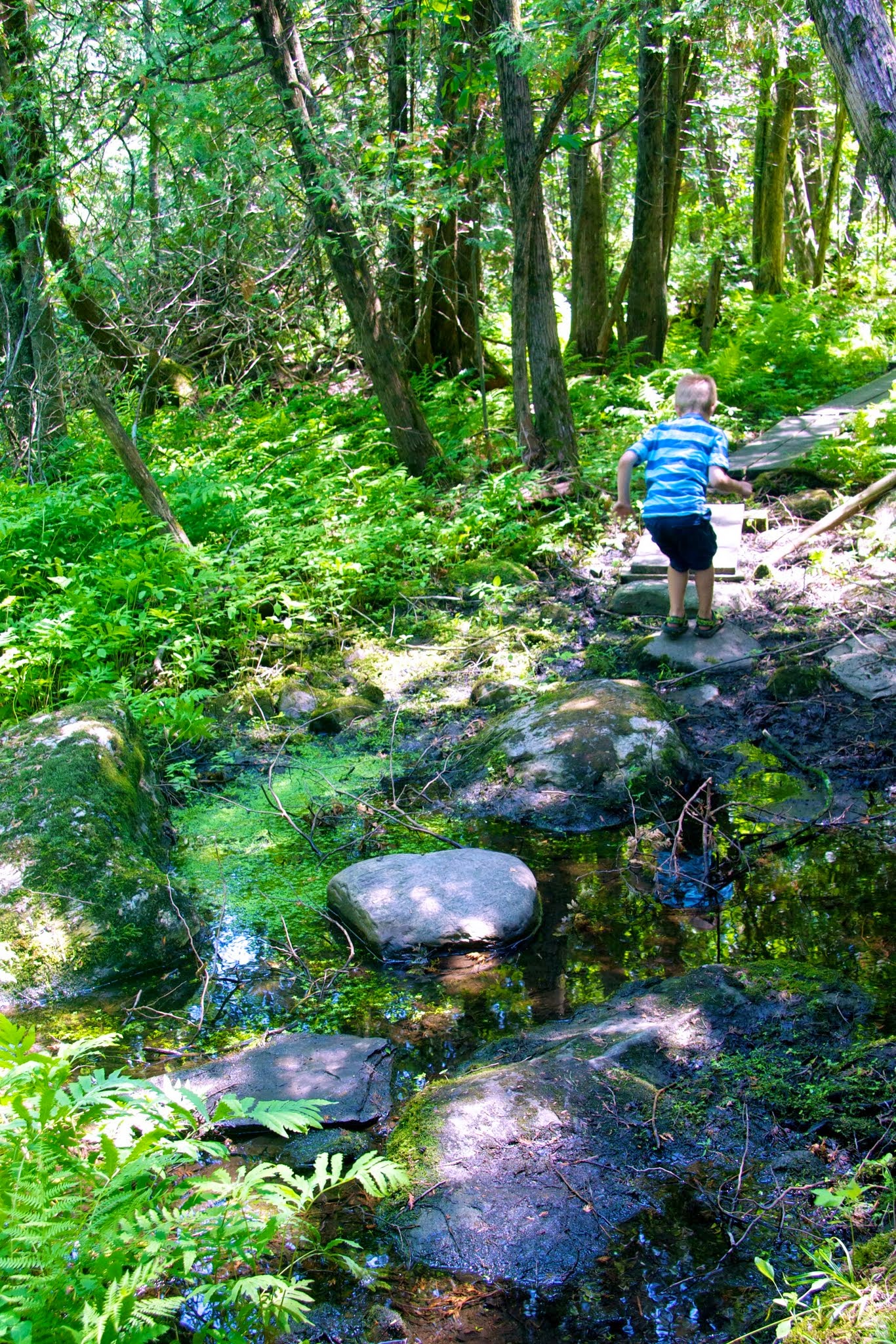 Little guy climbs rocks at Lake Carmi State Park by Amy Chess