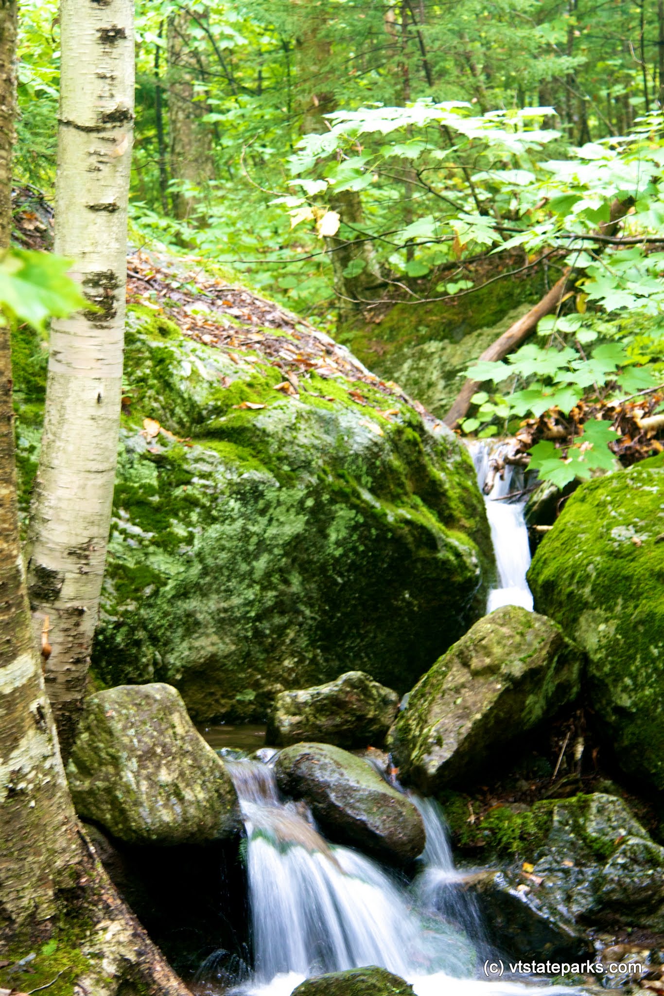 Waterfall at Underhill State Park by Amy Chess