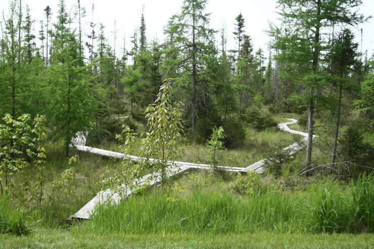 Boardwalk at Lake Carmi State Park by Mark & Kim Sweeney