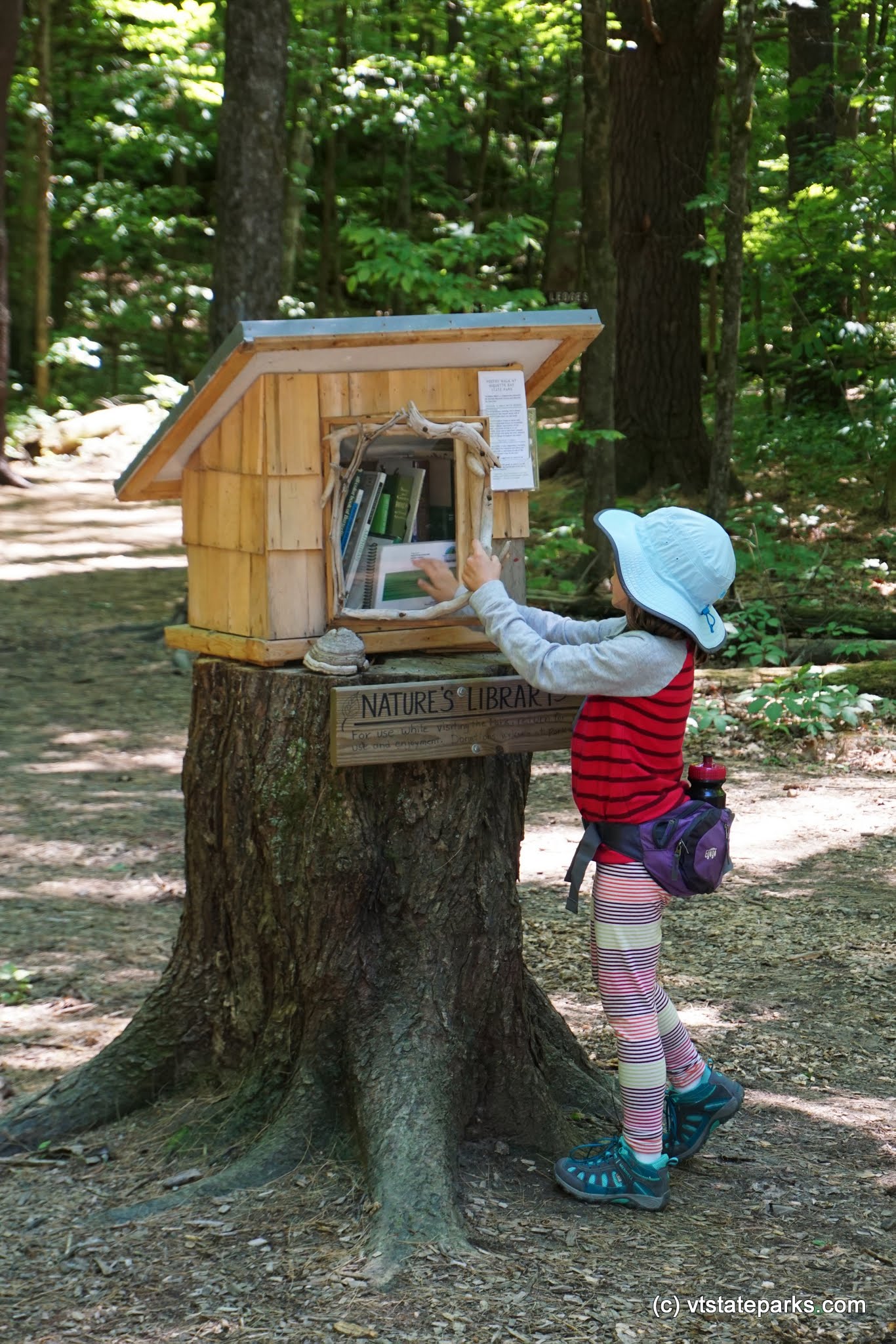A girl checking out a book from nature's library at Niquette Bay State Park by Jessica Clarke