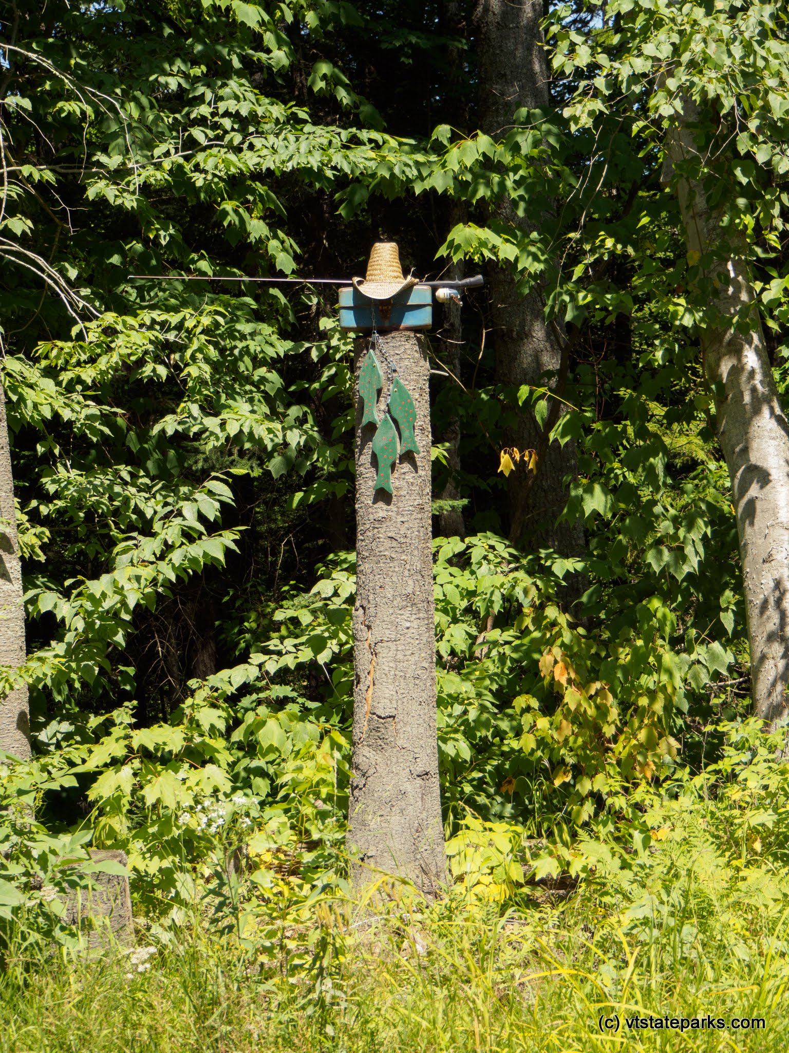 No really it is a fishing polie with fish at Maidstone State Park by Kristy Willey