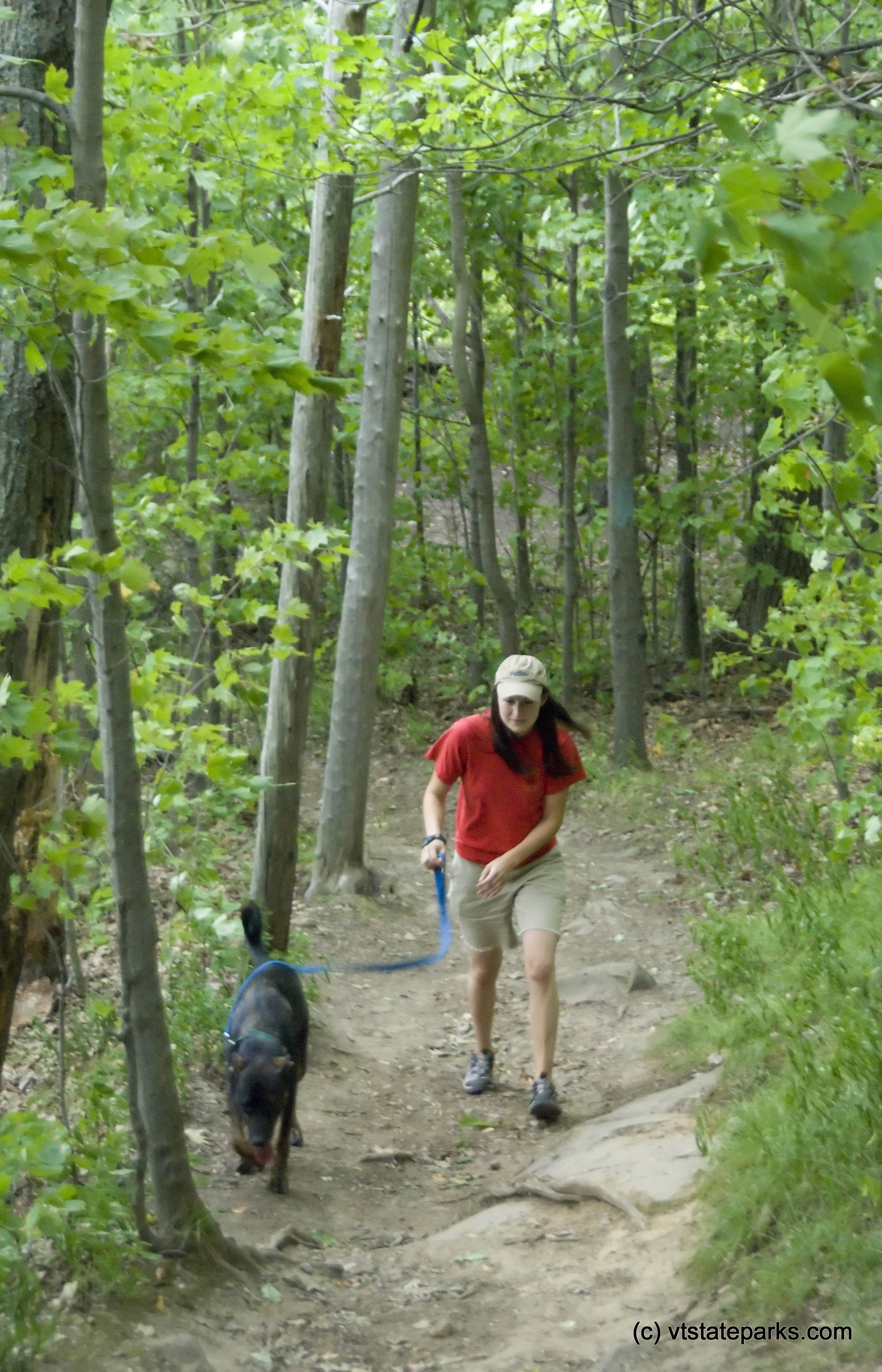 Mt Philo: Beca Pincus, of Shelburne, walks the trails at Mt Philo with her dog. Photo by Karen Pike