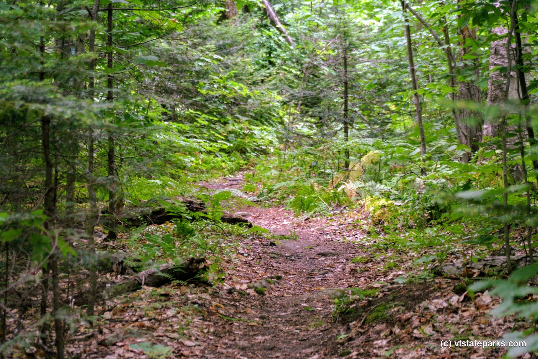 Trail to Owls Head
