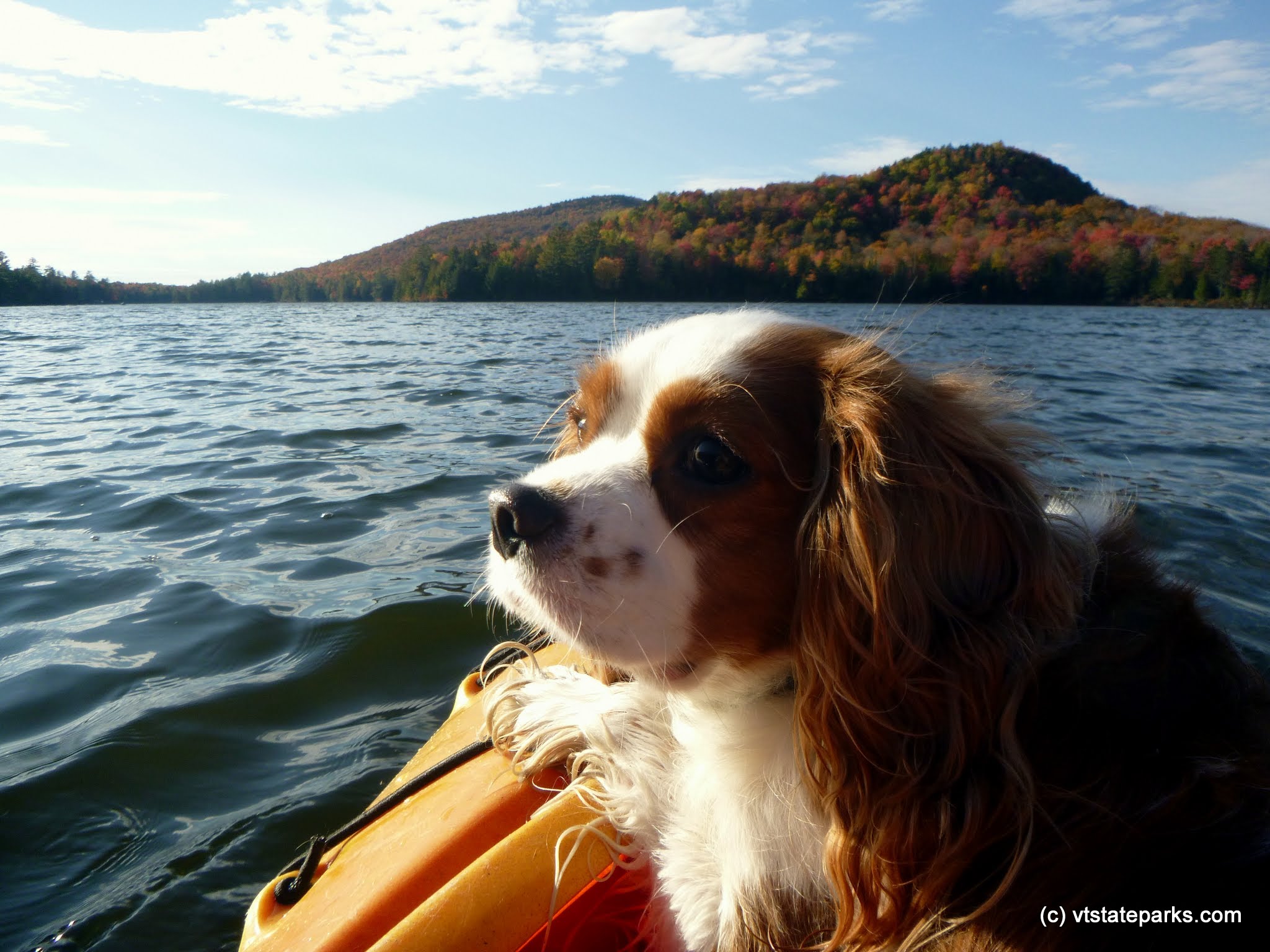 I love this kayak trip at Stillwater State Park by Justin Lajoie