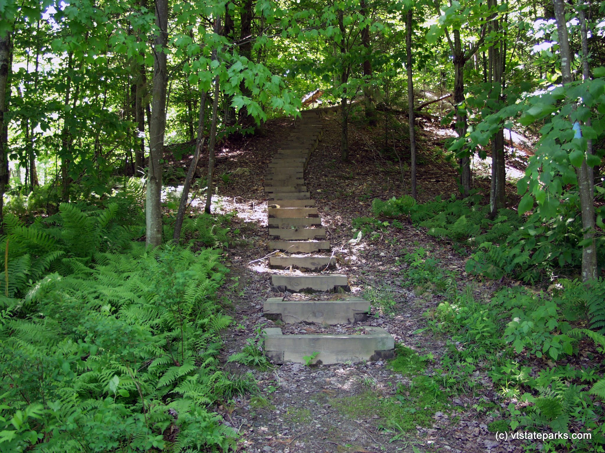 Walkway at Waterbury Center State Park