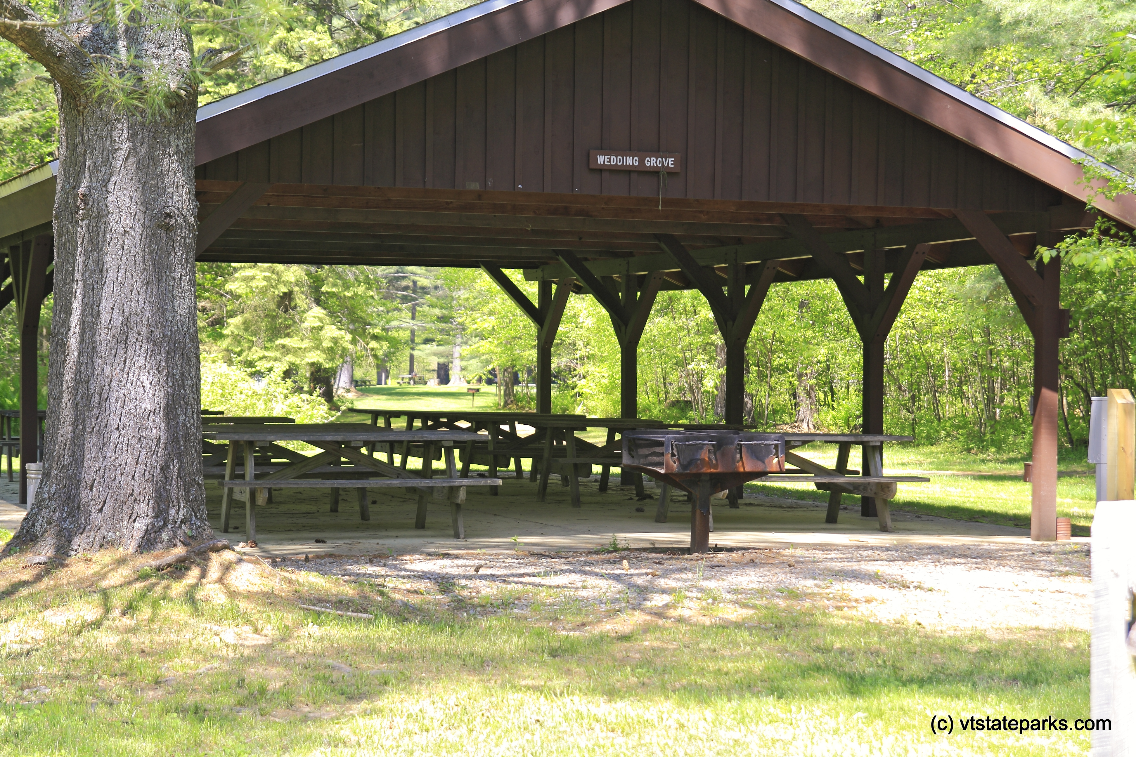 Wedding Grove picnic pavilion at Camp Plymouth State Park by Robert Kautz