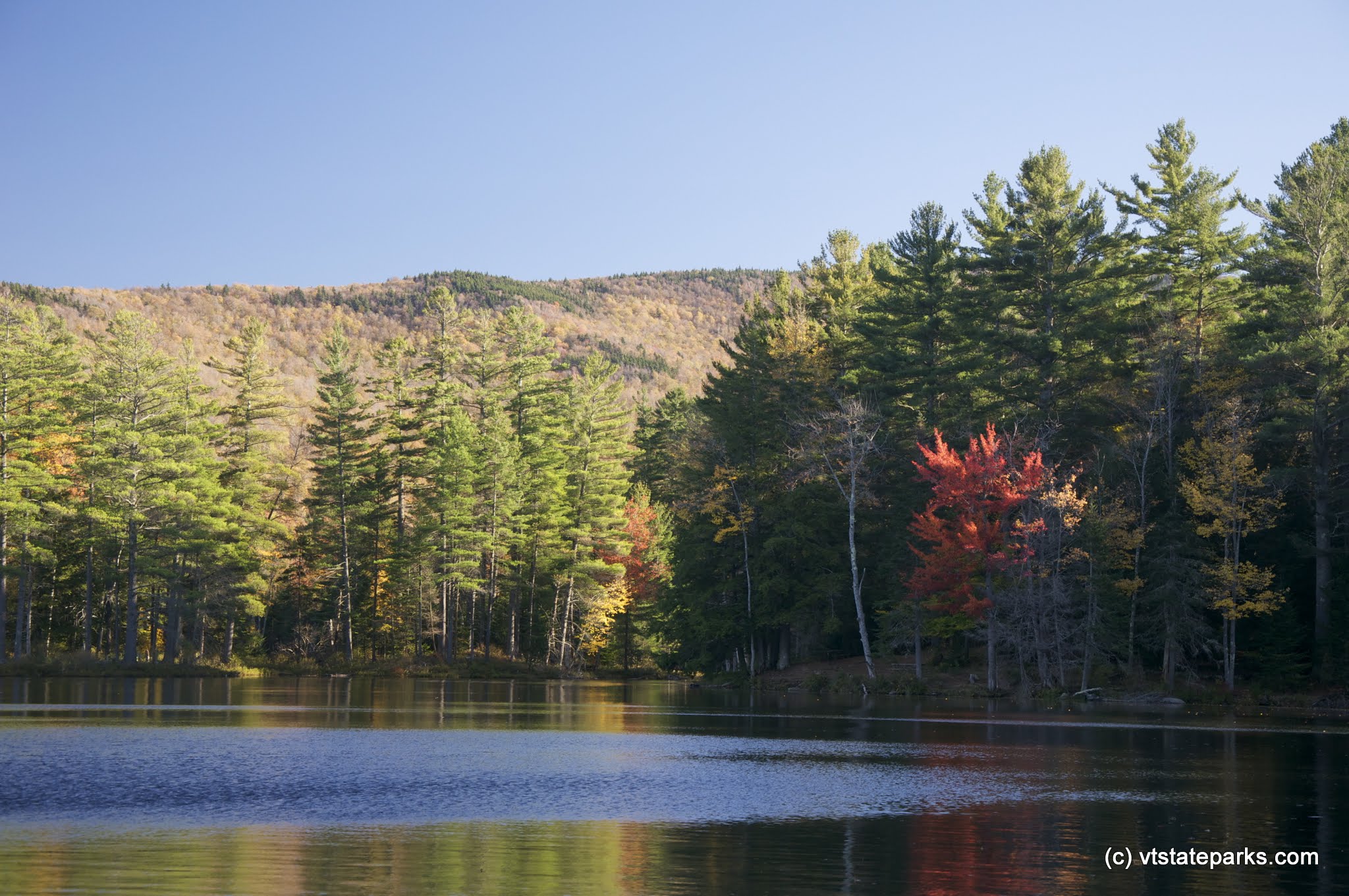 Foliage starting at Lowell Lake State Park by Jared Lennox