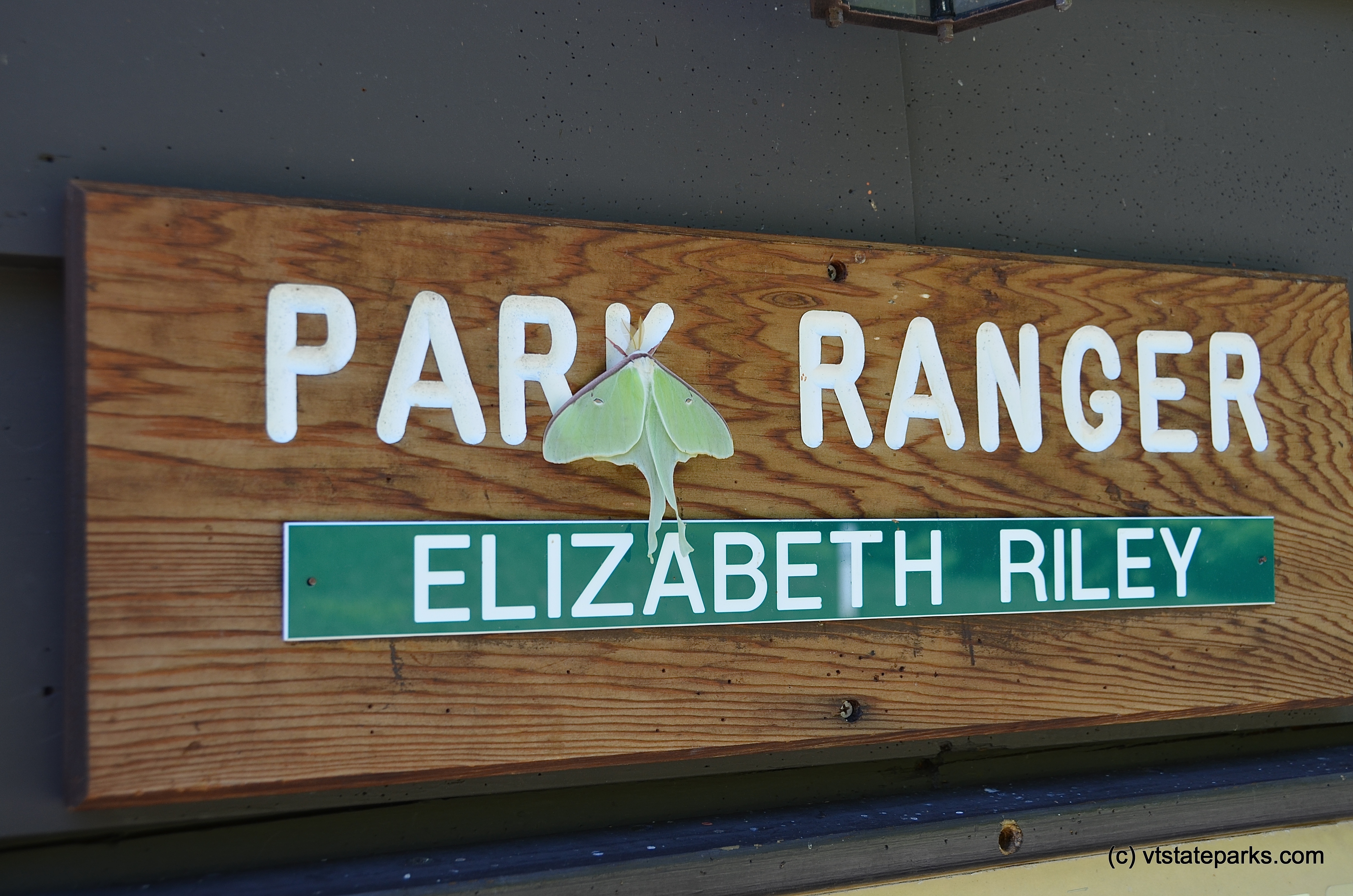Luna moth on Ranger Sign at Ricker Pond State Park by Linda Carlsen Sperry