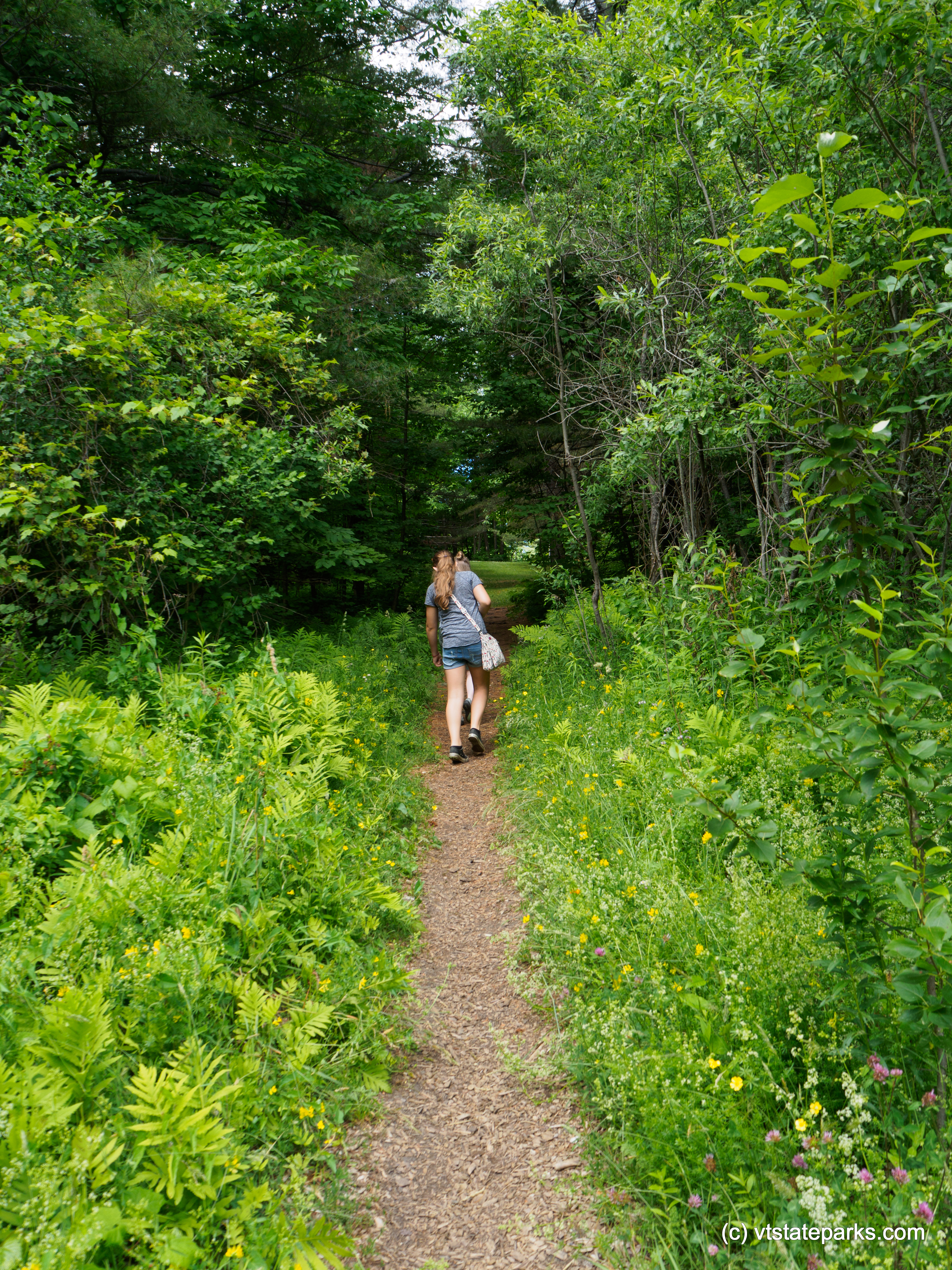 Taking a walk at Silver Lake State Park by Kristy Willey